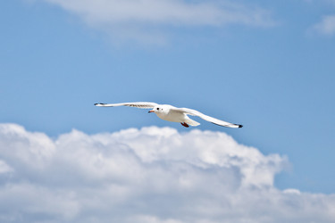 Similar image 5500644