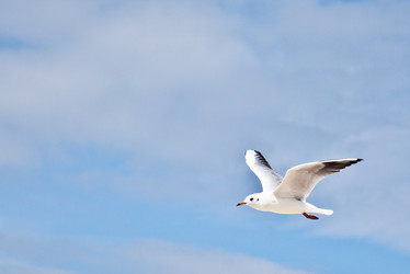 Similar image 5500646