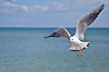 Similar image 5500676