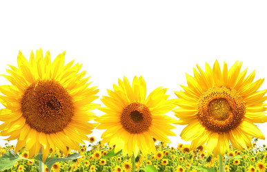 Similar image 5500681