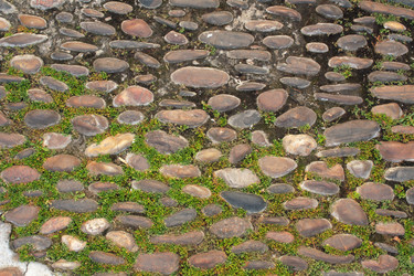 Similar image 5500699