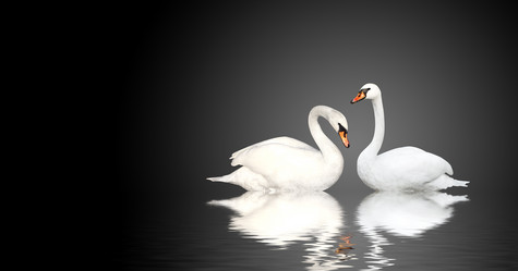 Similar image 5500703