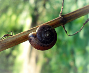 Similar image 5500778