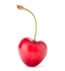 Similar image 5501019