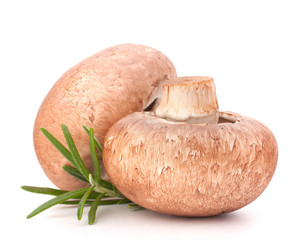 Similar image 5501038