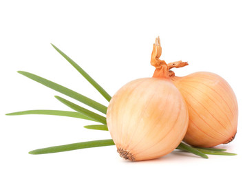 Similar image 5501045