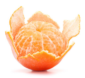 Similar image 5501049