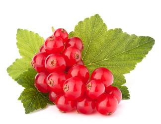 Similar image 5501052