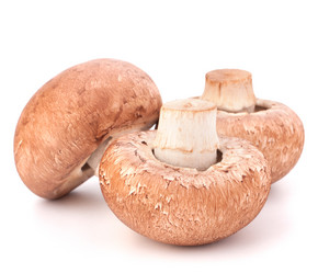 Similar image 5501058