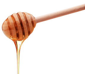 Similar image 5501066