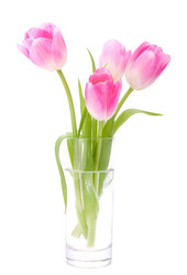 Similar image 5501071