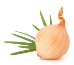 Similar image 5501080