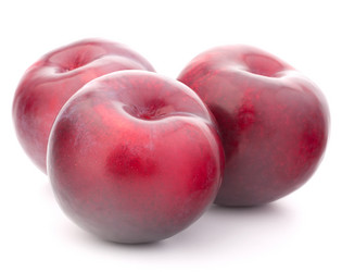 Similar image 5501081