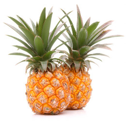 Similar image 5501104