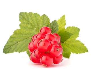 Similar image 5501106