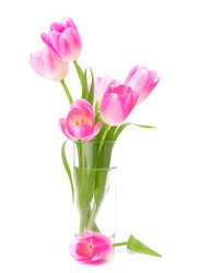 Similar image 5501107