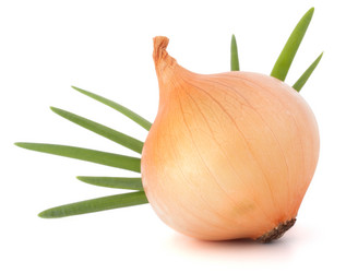 Similar image 5501114