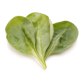 Similar image 5501132