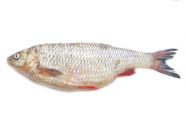 Similar image 5501145