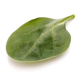 Similar image 5501178