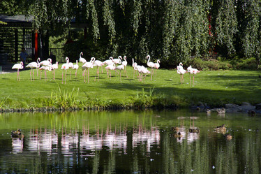 Similar image 5501622