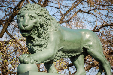 Similar image 5501636