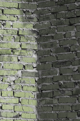 Similar image 5501731