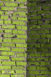 Similar image 5501738