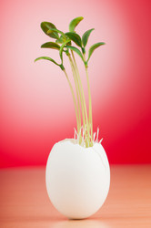 Similar image 5501826