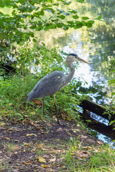 Similar image 5502165