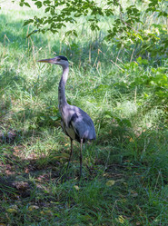 Similar image 5502166