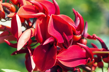 Similar image 5502172