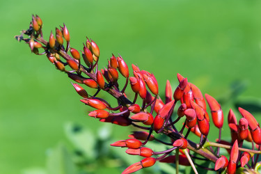 Similar image 5502175