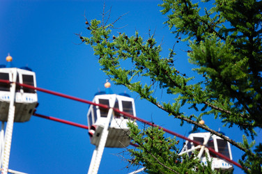 Similar image 5502177