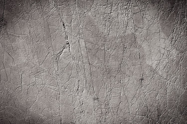 Similar image 5502266