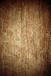 Similar image 5502268