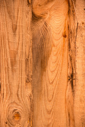 Similar image 5502309