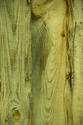 Similar image 5502310