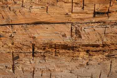 Similar image 5502326