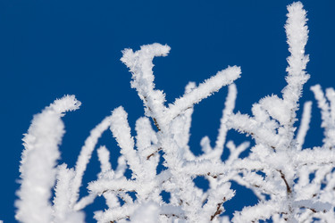 Similar image 5502328