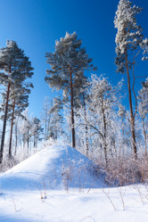 Similar image 5502332