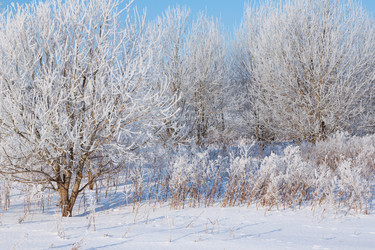 Similar image 5502333