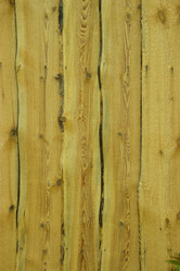 Similar image 5502366