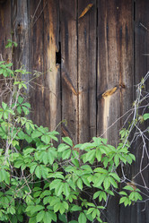 Similar image 5502377