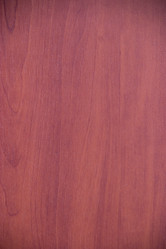 Similar image 5502389