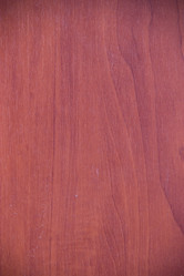 Similar image 5502392