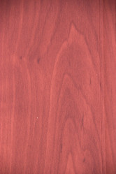 Similar image 5502393