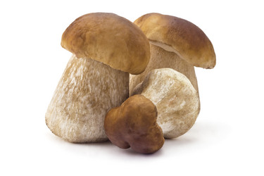 Similar image 5502422