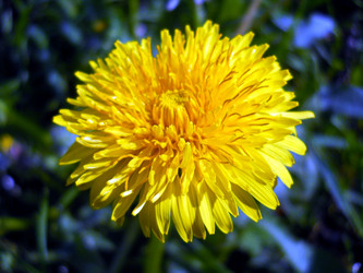 Similar image 5502515