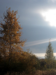 Similar image 5502520